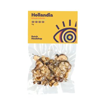 Truffes Magiques Hollandia (Marque Privée) 