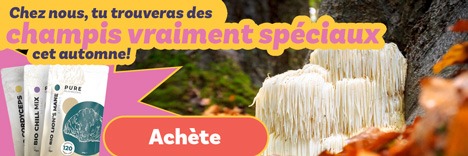 Chez nous, tu trouveras des champignons vraiment spéciaux cet automne.