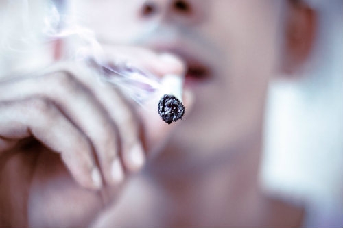 Fumer du Cannabis avec du Tabac Dutch Headshop