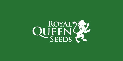 Graines de cannabis Royal Queen Seeds