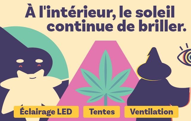 Culture de cannabis en intérieur